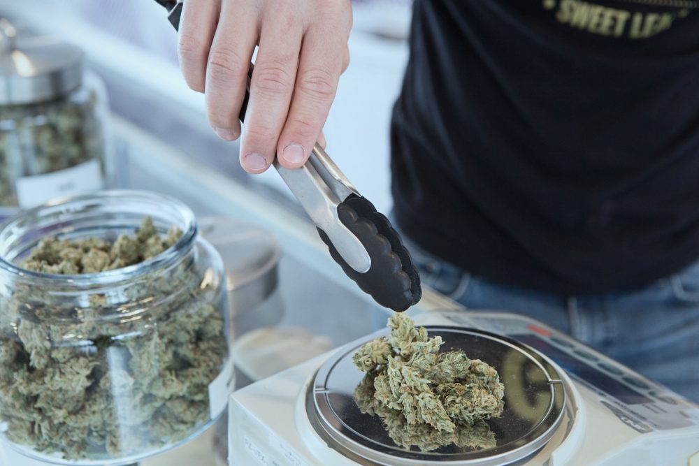 Blueberry CBD
